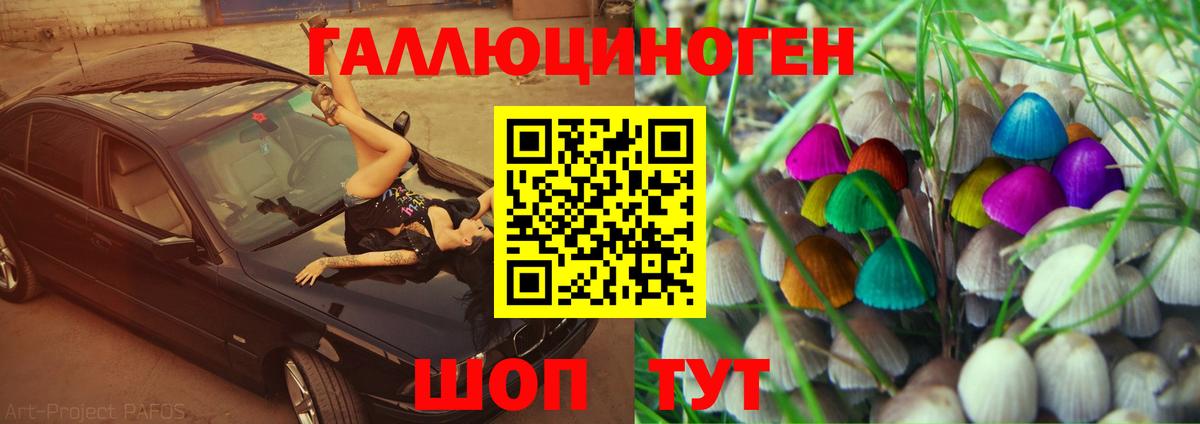 Морозовск  Галлюциногенные грибы Psilocybe  закладка  Вход с VPN 